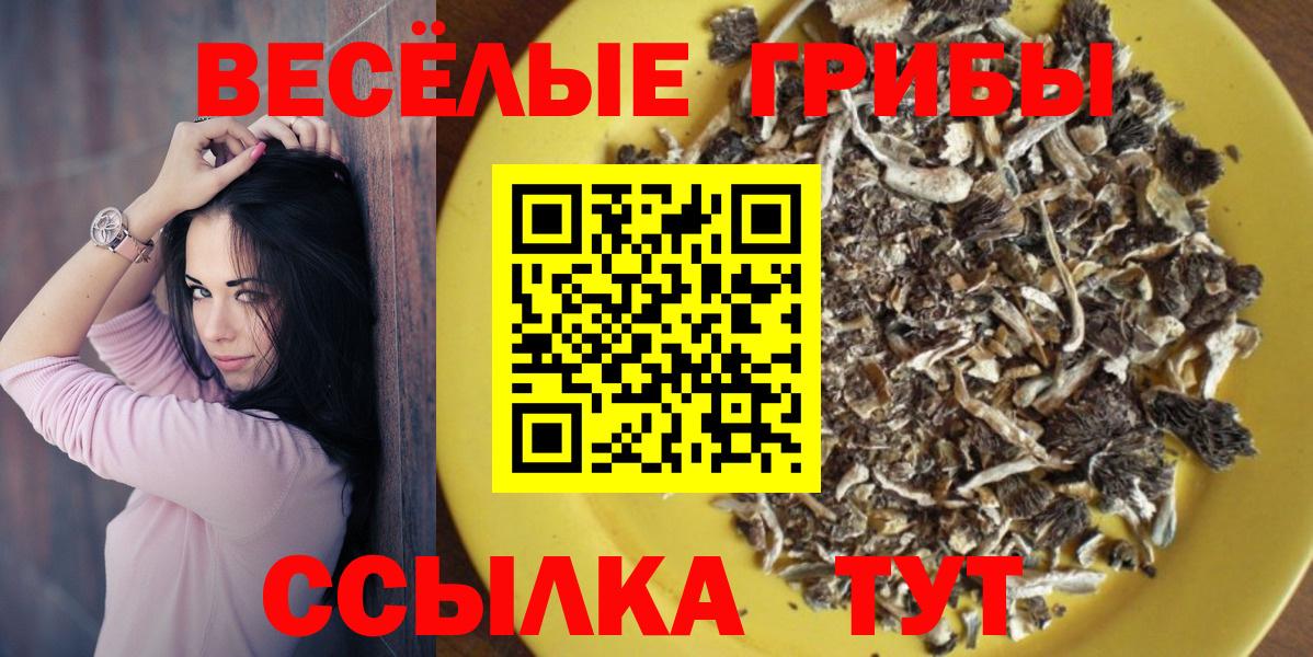 Корсаков  Псилоцибиновые грибы GOLDEN TEACHER  Вход с VPN 