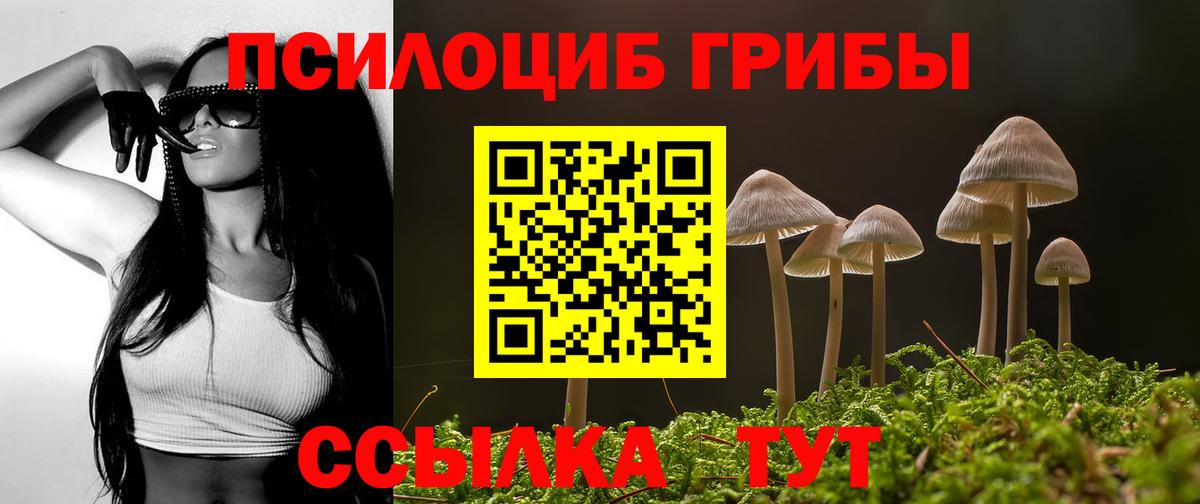 Галлюциногенные грибы прущие грибы Корсаков
